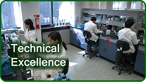 Technical Excellence